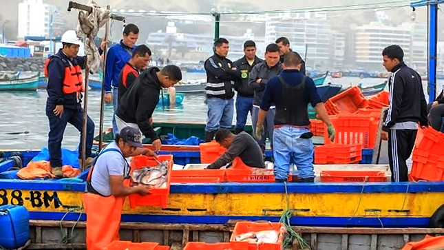 Imagen de pescadores artesanales en un puerto