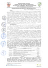 Vista preliminar de documento resolucion-alcaldiaN206.pdf