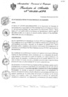 Vista preliminar de documento RESOLUCION DE ALCALDIA Nº 002-2020-MPO.pdf