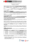 Vista preliminar de documento Proforma de contrato