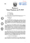 Vista preliminar de documento Res. TD. Nº 110-2019-INPE-TD.pdf