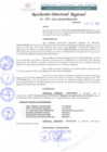 Vista preliminar de documento RDR 059-2022