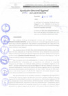 Vista preliminar de documento RDR 050-2022