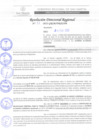 Vista preliminar de documento RDR 051-2022