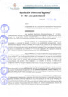 Vista preliminar de documento RDR 063-2022