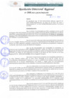 Vista preliminar de documento RDR 046-2022