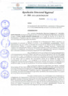 Vista preliminar de documento RDR 066-2022