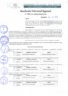 Vista preliminar de documento RDR 060-2022