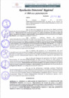 Vista preliminar de documento RDR 068-2022