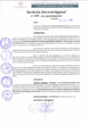 Vista preliminar de documento RDR 079-2022