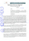 Vista preliminar de documento RDR 069-2022