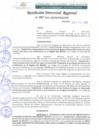 Vista preliminar de documento RDR 067-2022