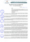 Vista preliminar de documento RDR 070-2022
