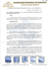 Vista preliminar de documento Acuerdo de Consejo N°163-2017-CM/MPH-M