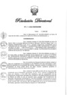 Vista preliminar de documento RD N° 207-2022.pdf