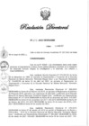 Vista preliminar de documento RD N° 208-2022.pdf