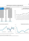 Vista preliminar de documento Rentabilidad del Portafolio FCR noviembre 2020