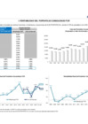 Vista preliminar de documento Rentabilidad del Portafolio FCR diciembre 2020