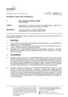 Vista preliminar de documento RES 083-2022-SUNARP-SN INFORME 00448-2022-SUNARP-OAJ