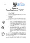 Vista preliminar de documento Res. TD. Nº 079-2019-INPE-TD.pdf
