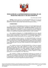 Vista preliminar de documento RES 084-2022-SUNARP-SN