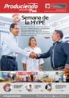 Vista preliminar de documento BOLETIN PRODUCIENDO PERU N19