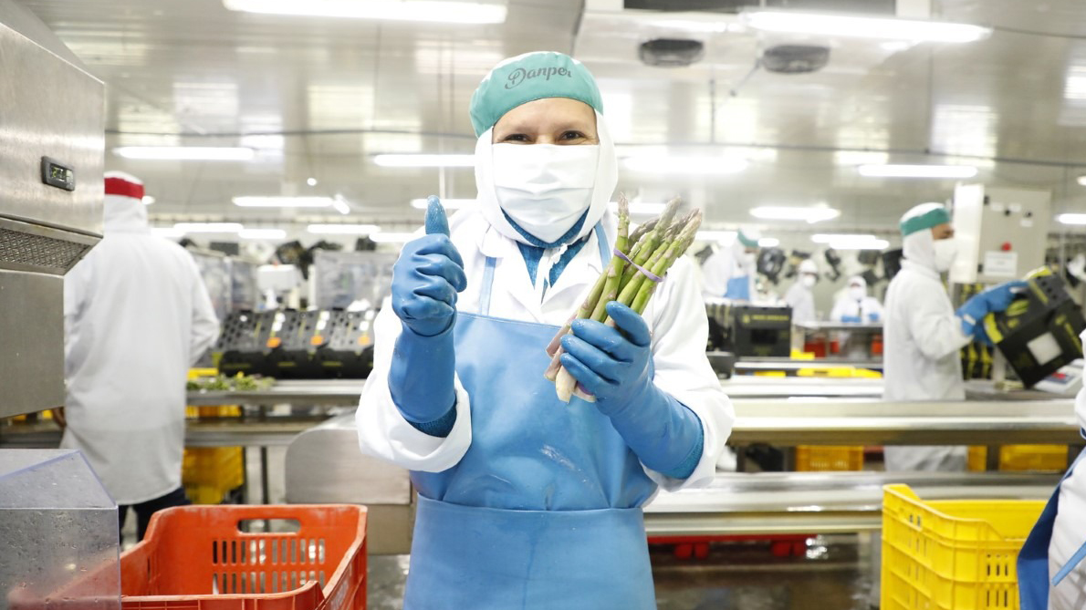 Imagen de trabajadora en una planta sosteniendo espárragos