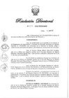Vista preliminar de documento RD N° 233-2022.pdf