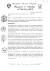 Vista preliminar de documento RESOLUCION DE ALCALIDA N° 339-2019-MPO.pdf