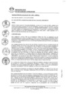 Vista preliminar de documento 0482-2022-MDSJL