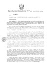 Vista preliminar de documento RD 224 - Designación temporal OACGD