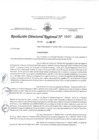 Vista preliminar de documento RESOLUCION DE DIRECTOR DE DGI.pdf