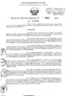 Vista preliminar de documento RESOLUCION DIRECTOR DE DGP.pdf
