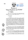 Vista preliminar de documento ResTD. Nº 062-2019-INPE-TD.pdf