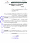 Vista preliminar de documento RDR 096-2022