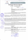 Vista preliminar de documento RDR 093-2022