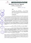 Vista preliminar de documento RDR 091-2022
