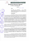 Vista preliminar de documento RDR 098-2022
