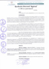 Vista preliminar de documento RDR 101-2022