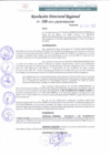 Vista preliminar de documento RDR 108-2022