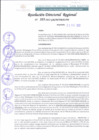 Vista preliminar de documento RDR 103-2022