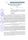 Vista preliminar de documento RDR 105-2022