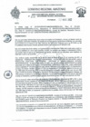 Vista preliminar de documento RDRS N°479.pdf