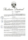 Vista preliminar de documento RD 060-2019.pdf