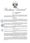 Vista preliminar de documento RD 055-2019.pdf
