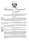Vista preliminar de documento RD 053-2019.pdf