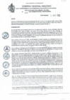 Vista preliminar de documento RDRS N°484.pdf