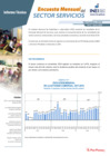 Vista preliminar de documento Boletín del Sector Servicios N° 01 Enero 2020