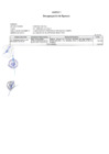 Vista preliminar de documento Anexo 1