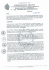 Vista preliminar de documento REA N°047.pdf